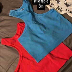 Wild Fable Vibrant Blue and Red Tank Tops
